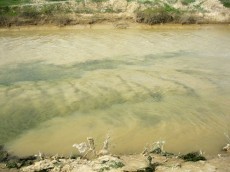 Вода. Мутная + светлая